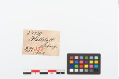 Etikett zu Bronzekahnfibel (NHMW-PRAE-024720)